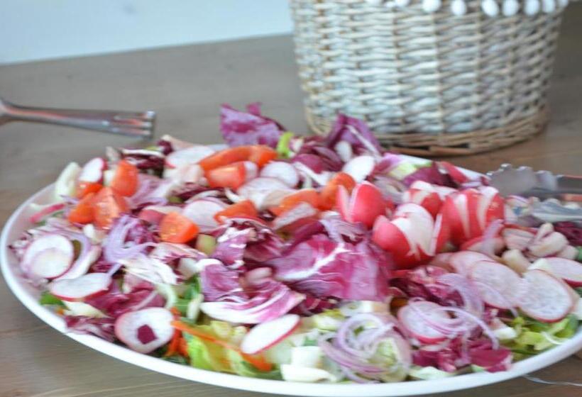 مبيت وإفطار Floripa Surf House