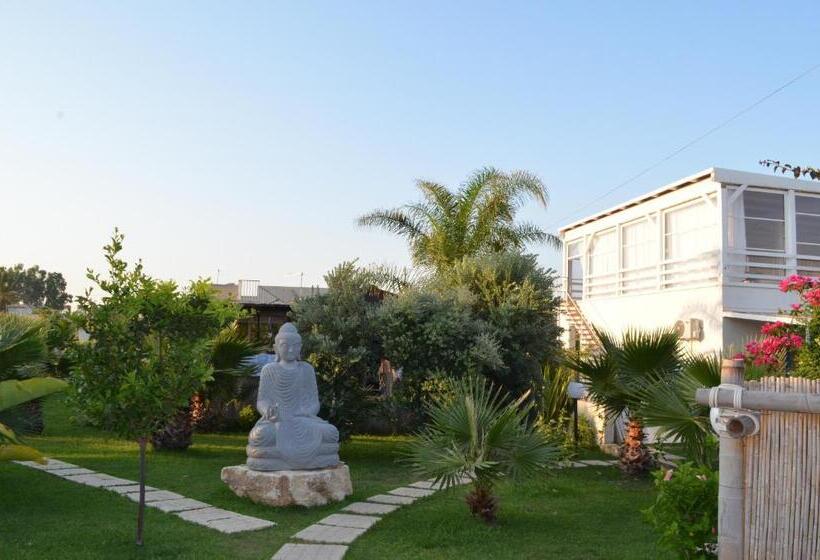 مبيت وإفطار Floripa Surf House