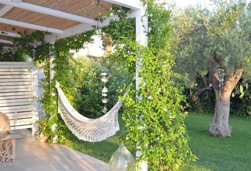 مبيت وإفطار Floripa Surf House