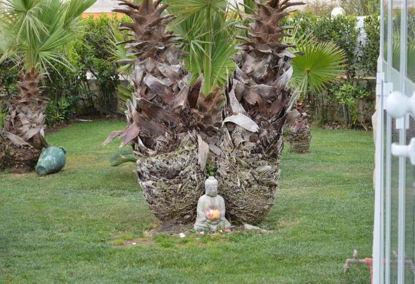 مبيت وإفطار Floripa Surf House