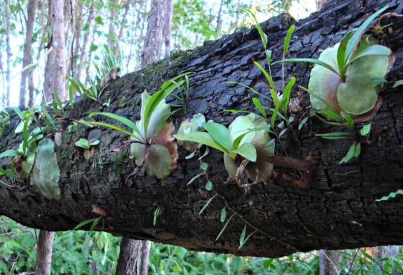 Bed and Breakfast Melawondi Spring Retreat