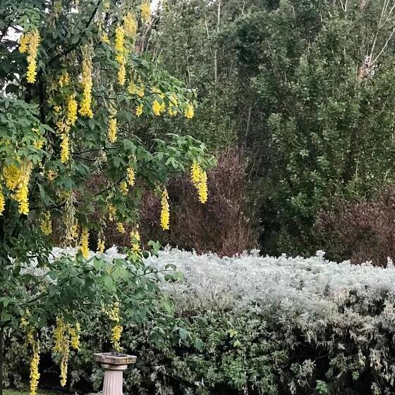 ベッドアンドブレックファースト Pierrepoint Accommodation