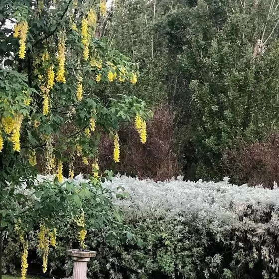 Bed and Breakfast Pierrepoint Accommodation