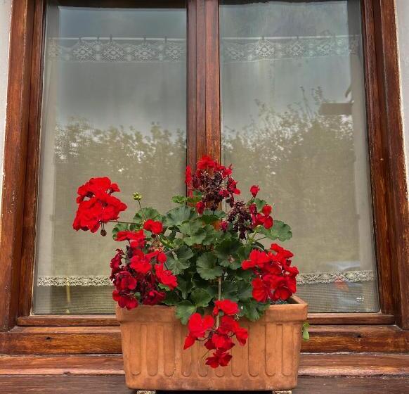 Hotell Agroturismo Kostegi