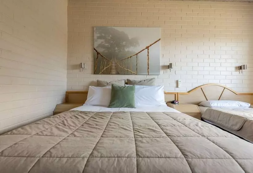 モーテル Harriet House Tumut