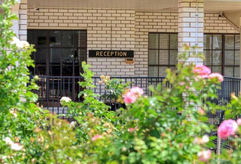 فندق على الطريق Southern Comfort Motor Inn