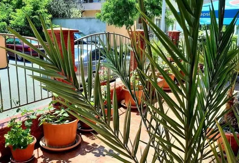 Majatalo Adri Guest House