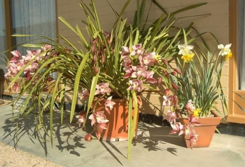 Travellers Rest Motel