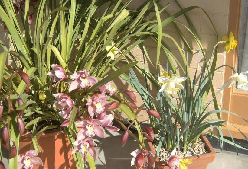 Travellers Rest Motel