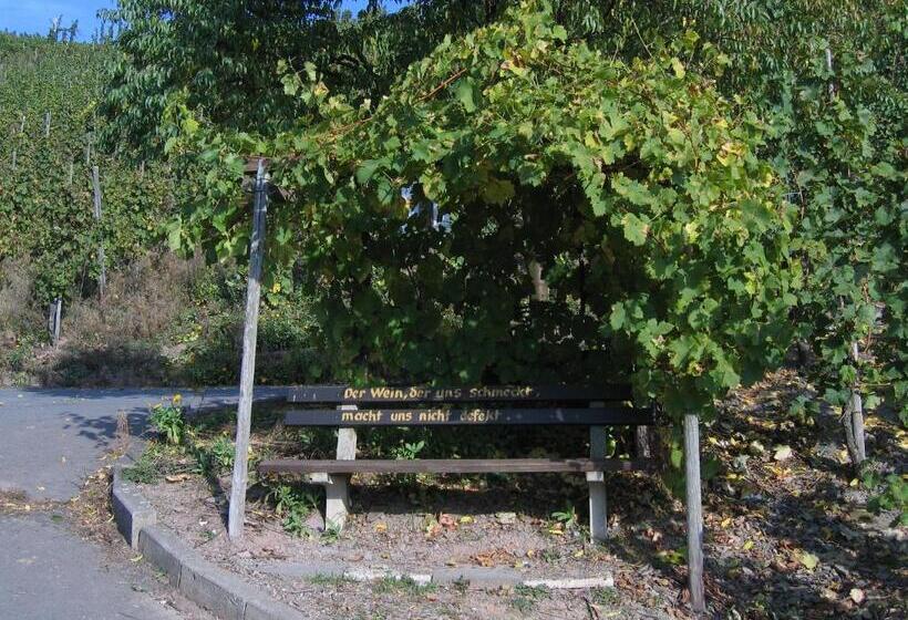 הוסטל Weinfelderhof