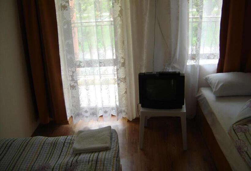 בית מלון כפרי Central Park Family