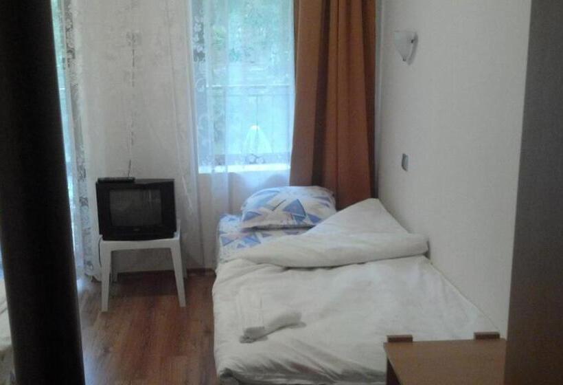 בית מלון כפרי Central Park Family