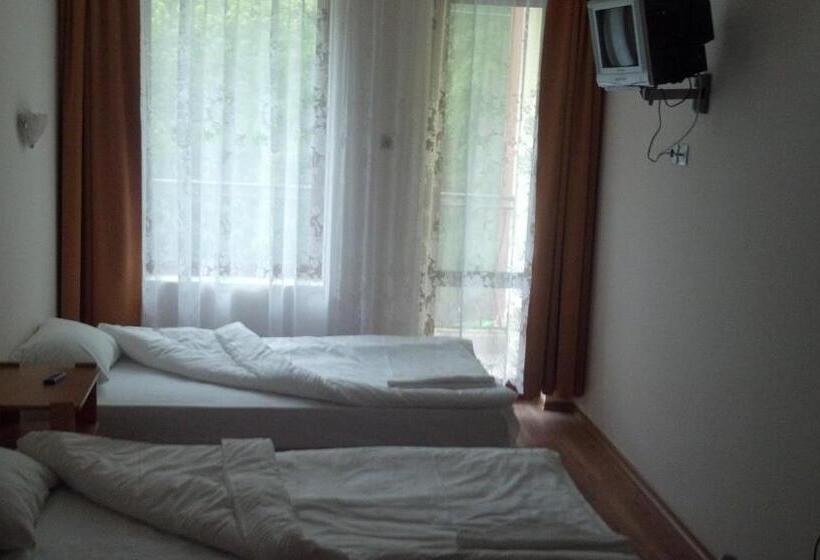 בית מלון כפרי Central Park Family