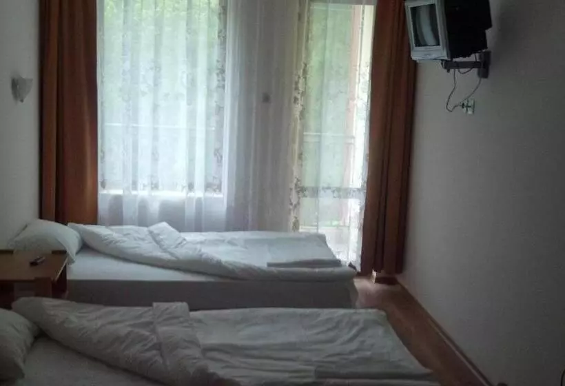 ホテル Central Park Family