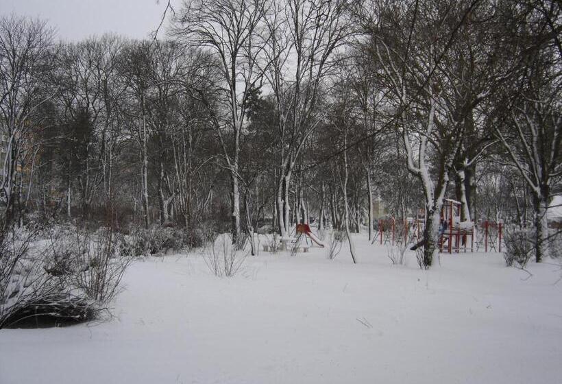 בית מלון כפרי Central Park Family