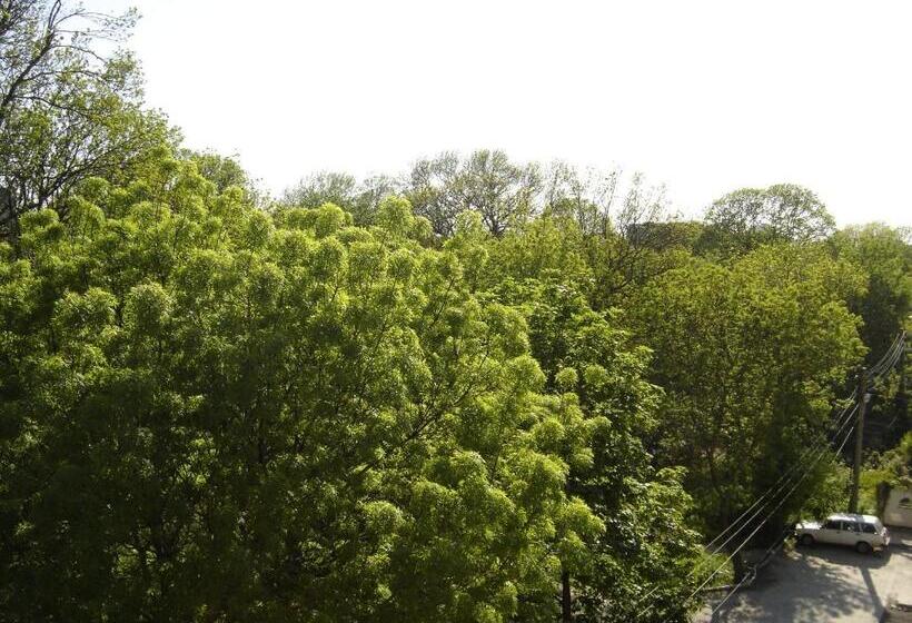 בית מלון כפרי Central Park Family