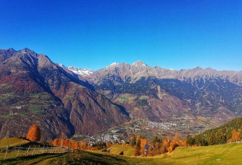 酒店 Gasthof Stiegenwirt