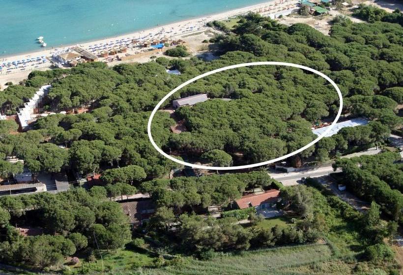 호텔 Villa Nettuno