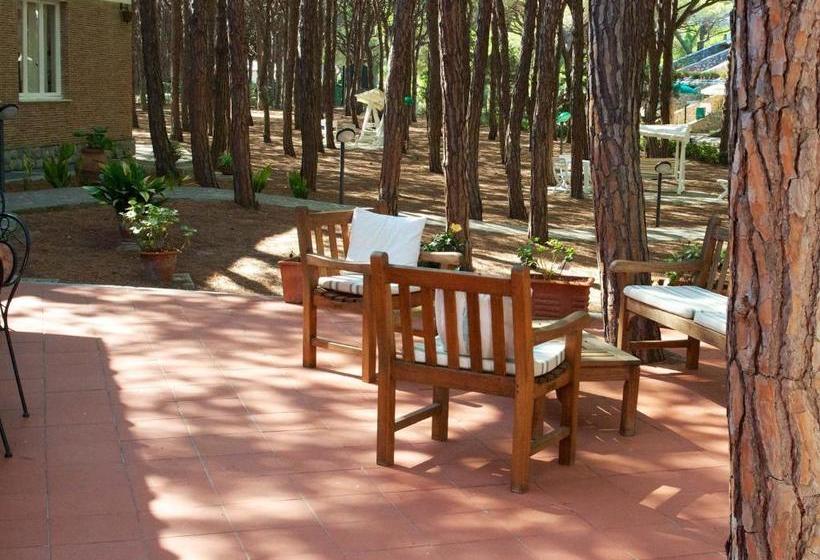 호텔 Villa Nettuno