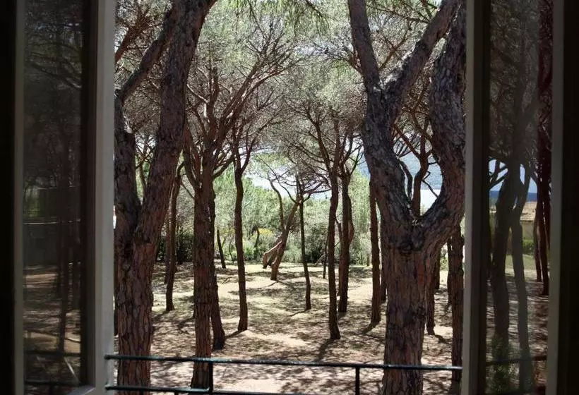 ホテル Villa Nettuno