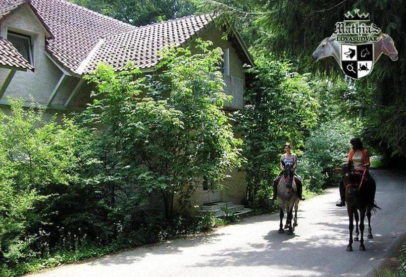 Pensjonat Mathias Lovasudvar