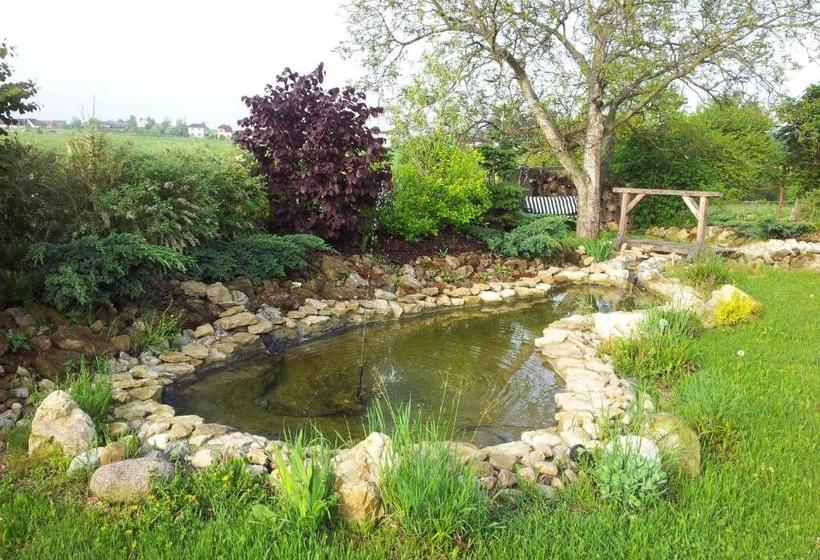 膳宿费 Penzion Piano Ranch