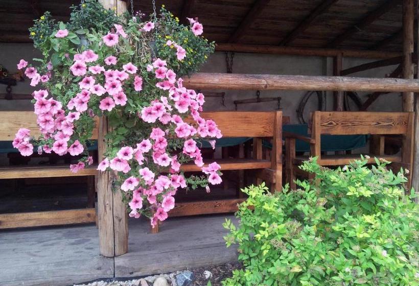 膳宿费 Penzion Piano Ranch