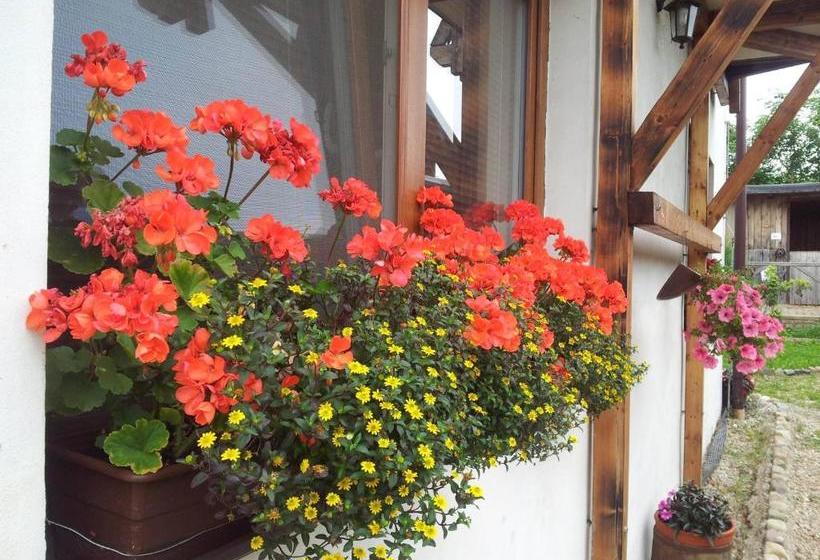 膳宿费 Penzion Piano Ranch