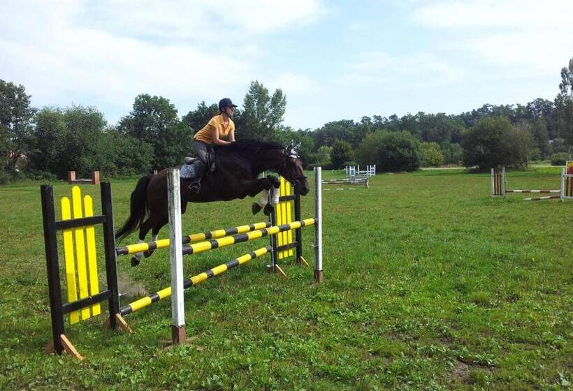 膳宿费 Penzion Piano Ranch