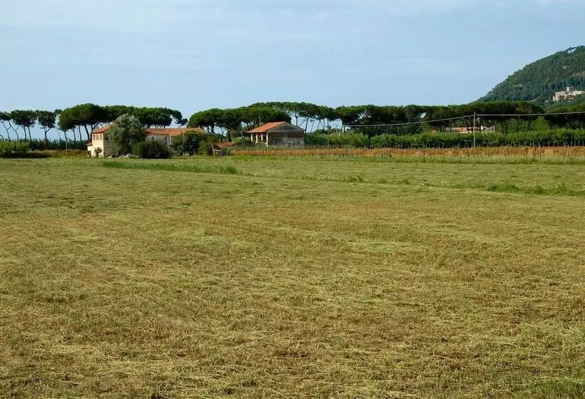 Residence Pax