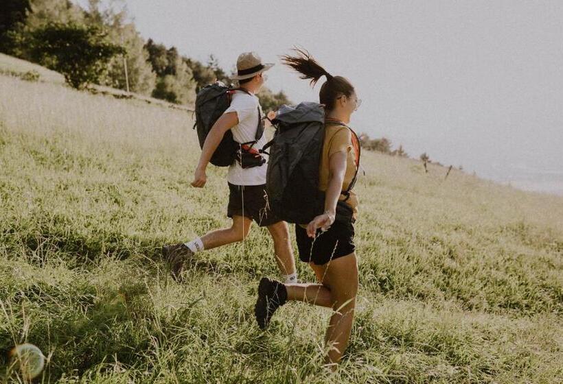 Vitalpina Hotel Schulerhof