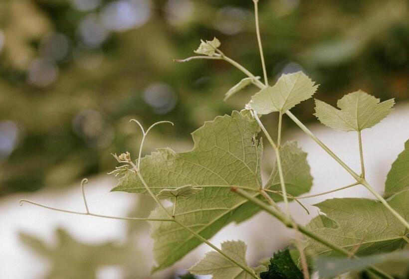 Vitalpina Hotel Schulerhof