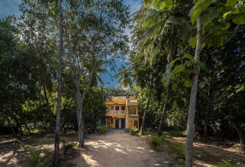 هتل Pavisha Farm House Swimming Pool