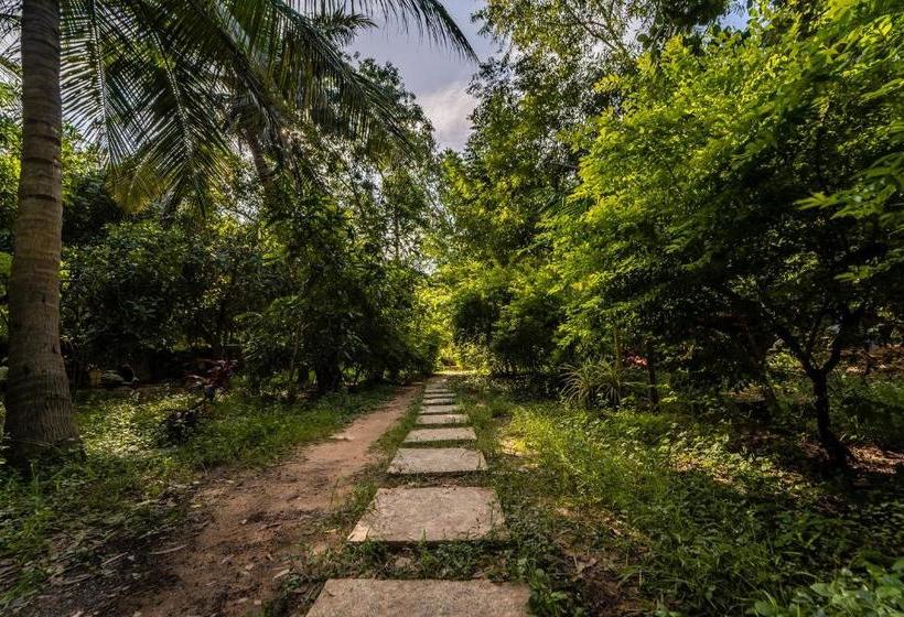 هتل Pavisha Farm House Swimming Pool