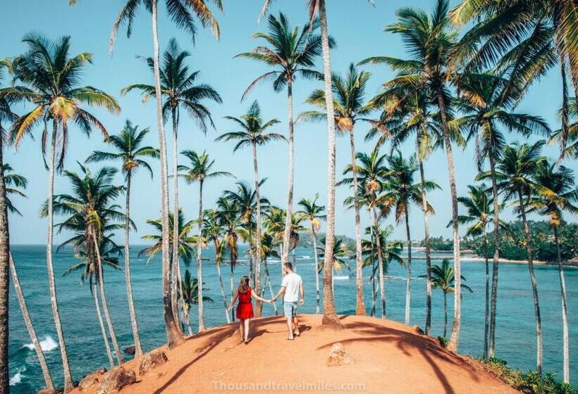 Pensão Lotus Grand Rest