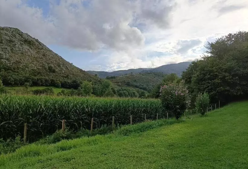 Boutique Villa De Palacios   Palacio De Aras