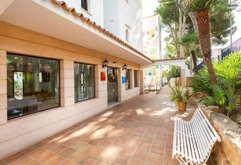 Flipflop Surfing Playa