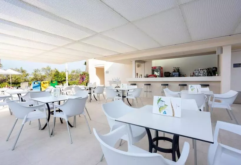 Hipotels Mediterraneo Hotel - Adults Only