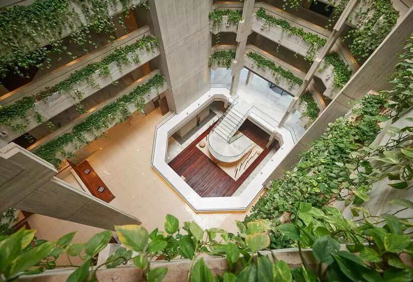 Hipotels Mediterraneo Hotel - Adults Only