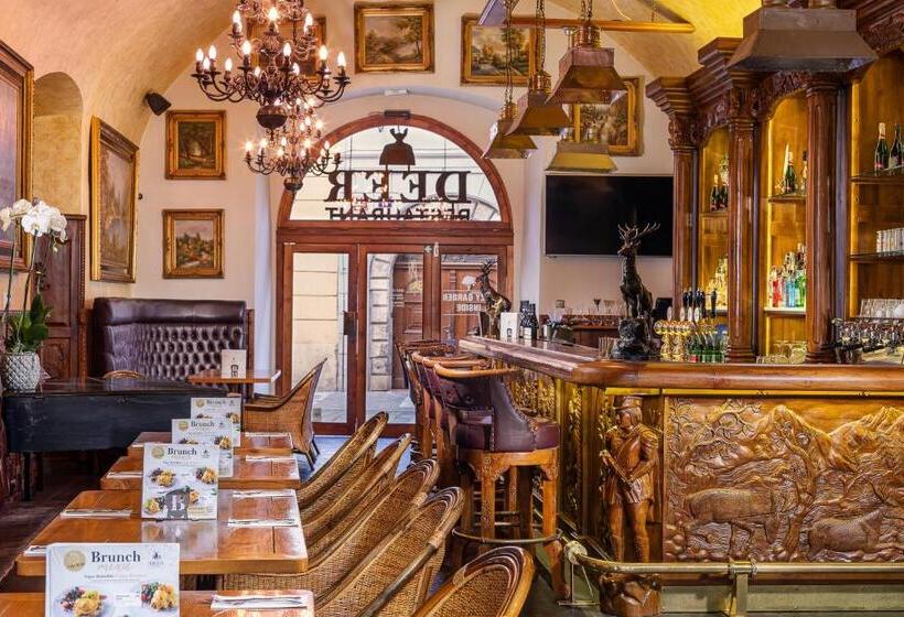 Iron Gate Hotel & Suites Prague By Bhg