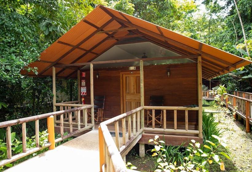 هتل Pachira Lodge
