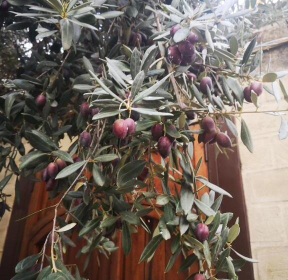 La Llave De La Judería Hotel Boutique