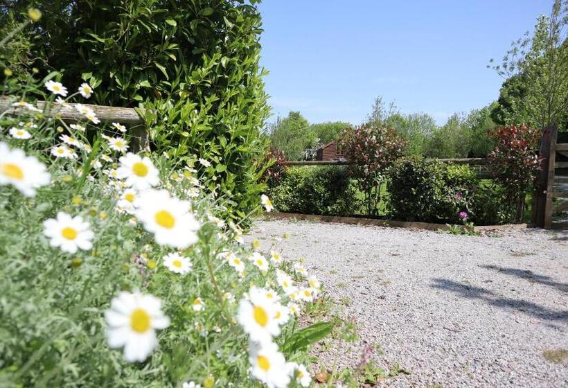 호스텔 The White Horse Inn