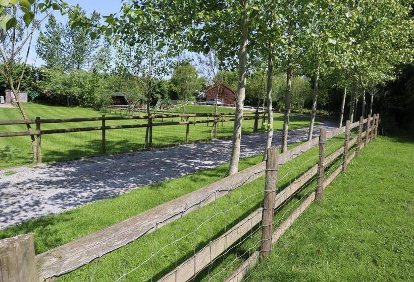 호스텔 The White Horse Inn