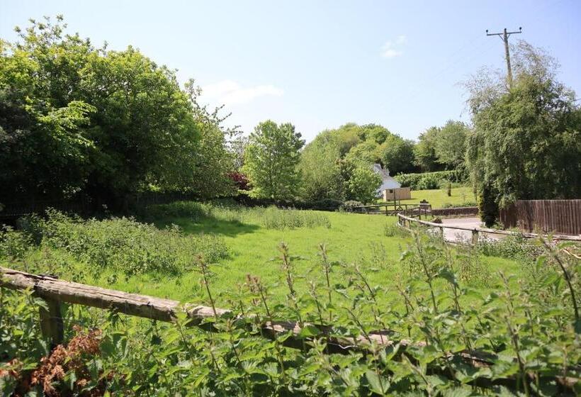 호스텔 The White Horse Inn