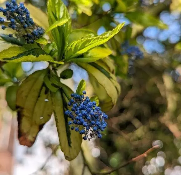 Retkeilymaja The White Horse Inn