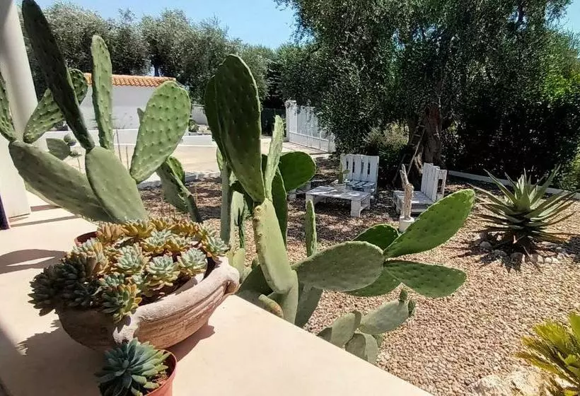 B&b Sperlonga