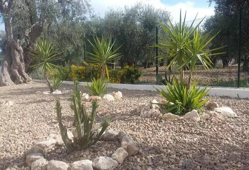 B&b Sperlonga
