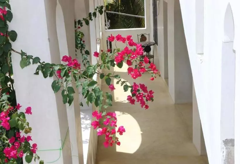 تختخواب و صبحانه Jamala Guesthouse