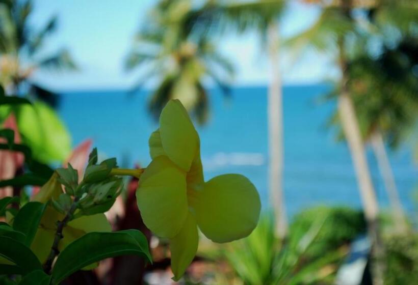 פנסיון Pousada Da Luz Carapibus